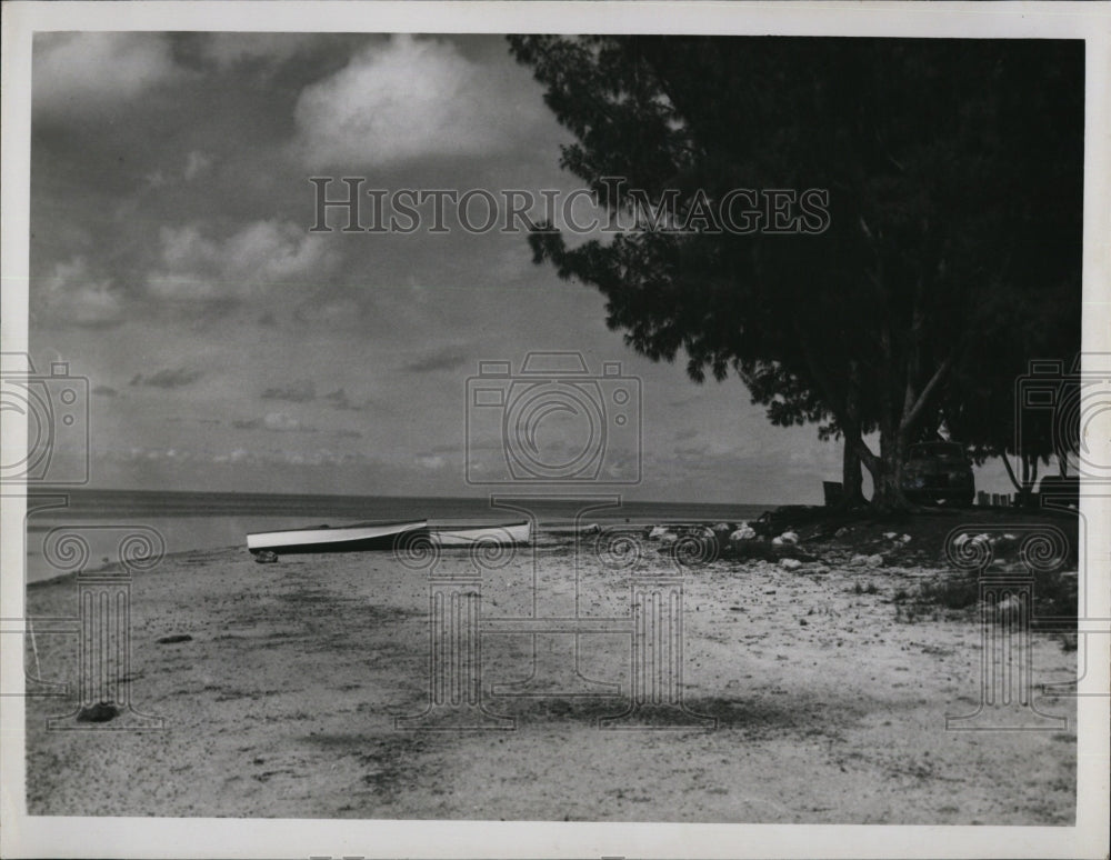Press Photo Tarpon Springs Tarpon Pier - Historic Images