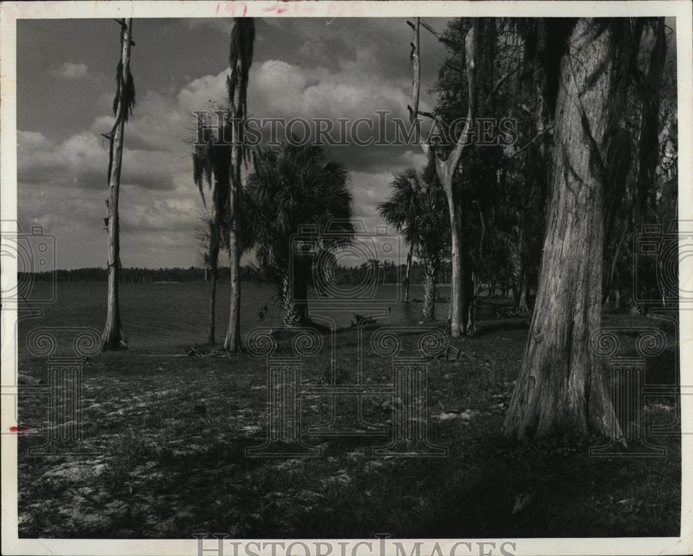 1972 Press Photo Tarpon Lake Builders Want Lakefront Kept Free Of Construction - Historic Images