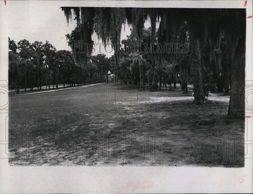 1970 Press Photo Tarpon Springs Golf Club - RSM08919 - Historic Images