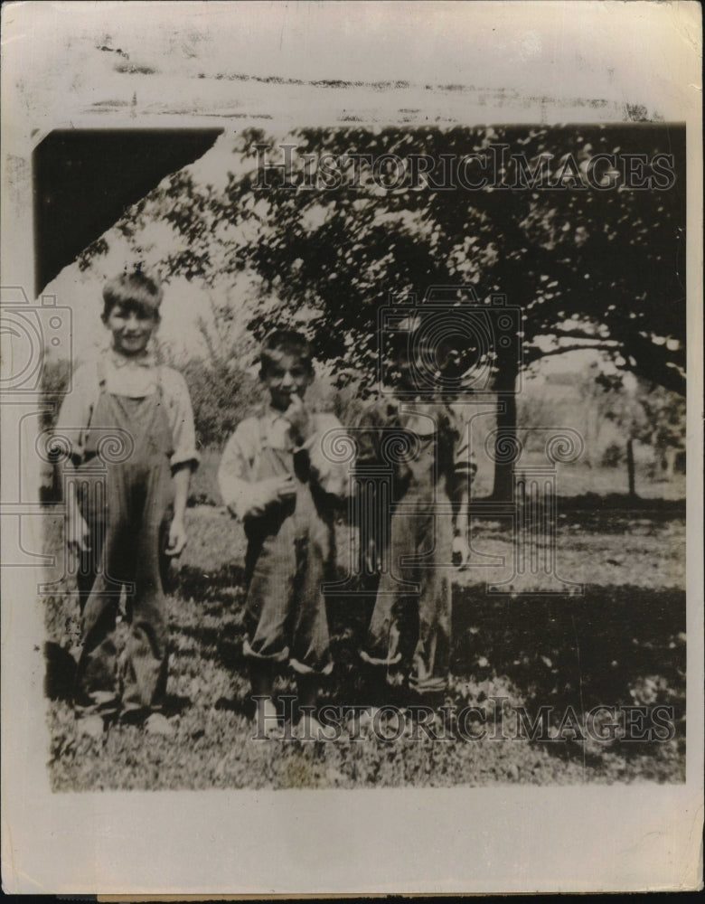 1954 Press Photo Joe McCarthy and two of his brothers family farm Grand Chute - Historic Images