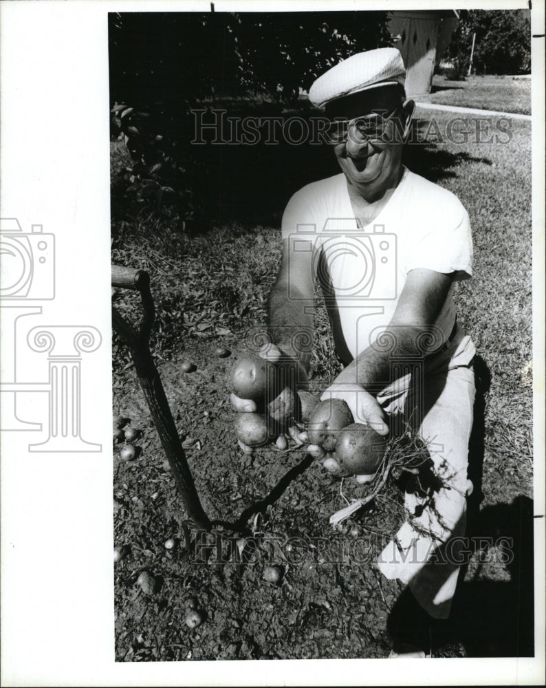 1985 Press Photo Cy Rossie Grows New Potatoes in Gulfport - RSM09811 - Historic Images