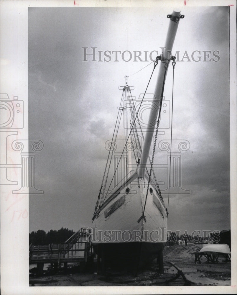 1971 Press Photo Carrie B. Wells, Spongeorama, Owned by Louis Rozee - RSM09829 - Historic Images