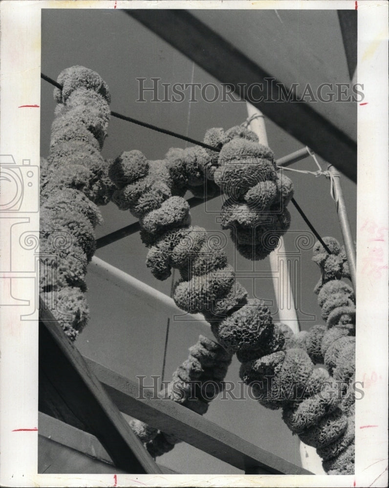 1972 Press Photo View Of Sponges Dockside in Tarpon Springs Florida - RSM10107 - Historic Images