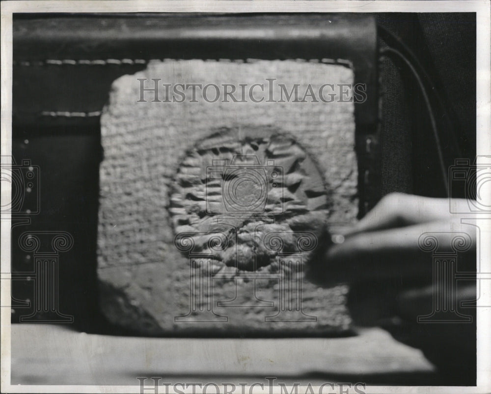 1952 Press Photo Clay Tablet Discovered by Donald E. McCown, Oriental Institute - Historic Images