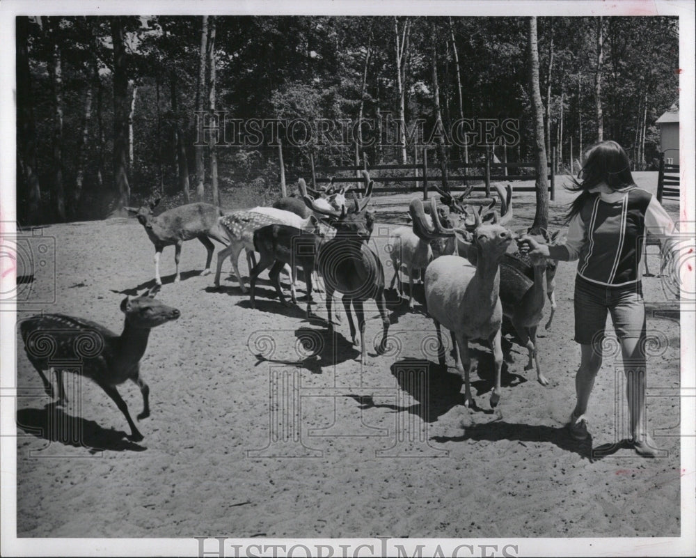 1967 Press Photo Deer Acres Farm Michigan - Historic Images