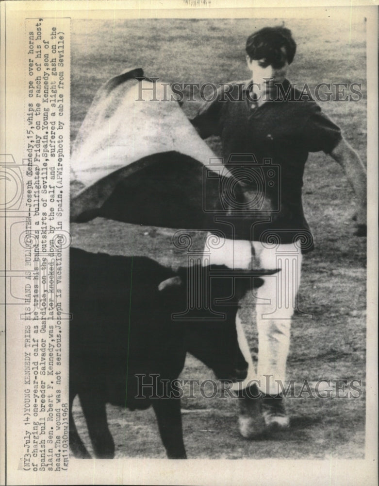 1968 Press Photo Joseph Kennedy III one year old Calf - Historic Images