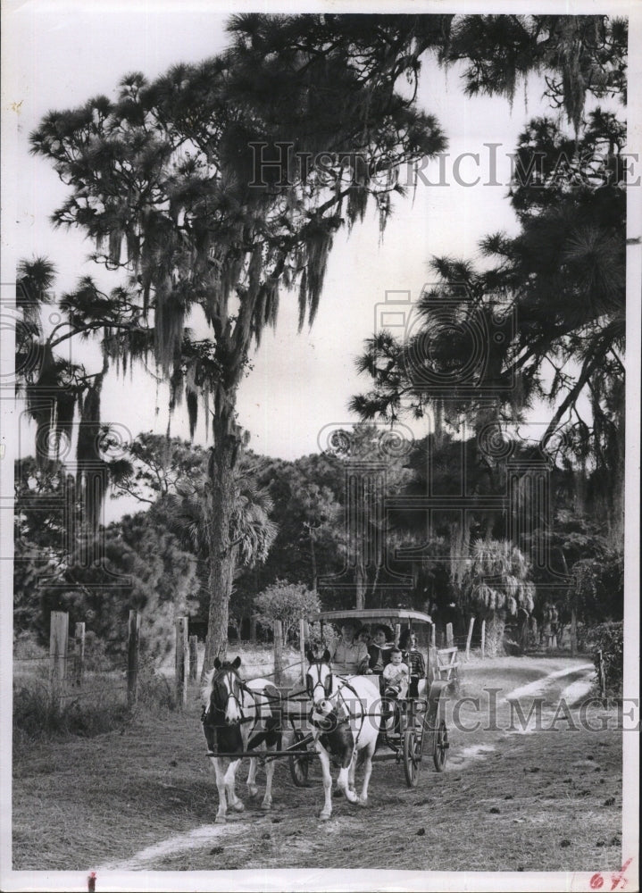 Press Photo Family Riding In Horse Drawn Cart - RSM13127 - Historic Images