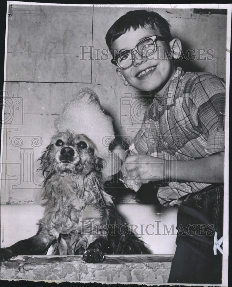 1963 Press Photo Terry Rickard born defective eyes bathes toy collie Rocky - Historic Images