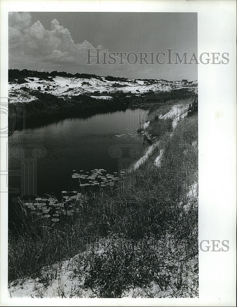 1984 Press Photo Grayton Dunes beach area in Florida - Historic Images