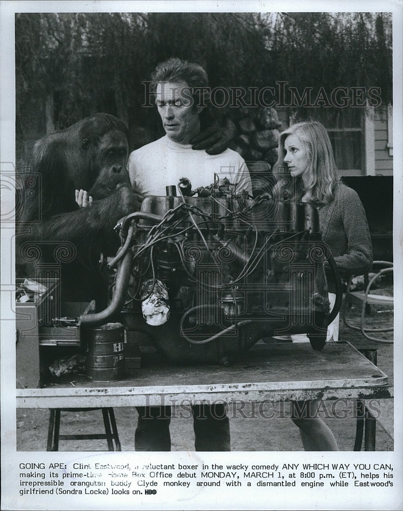 Press Photo Actor Clint Eastwood Clyde Monkey Any Which Way You Can Sondra - Historic Images