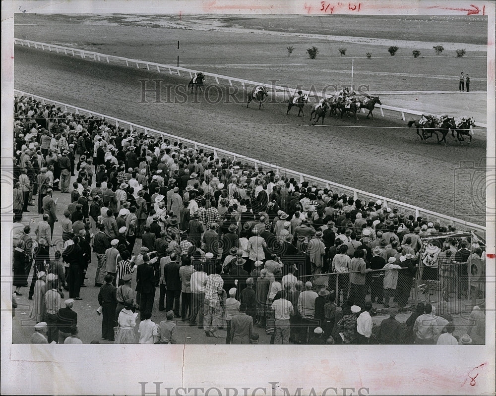 1960 Press Photo Don Alonzo, Mikel Farm, Horse Racing - Historic Images