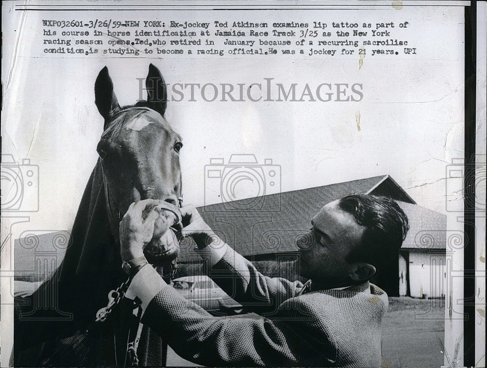 1959 Press Photo Jockey Ted Atkinson, Horse Racing - Historic Images