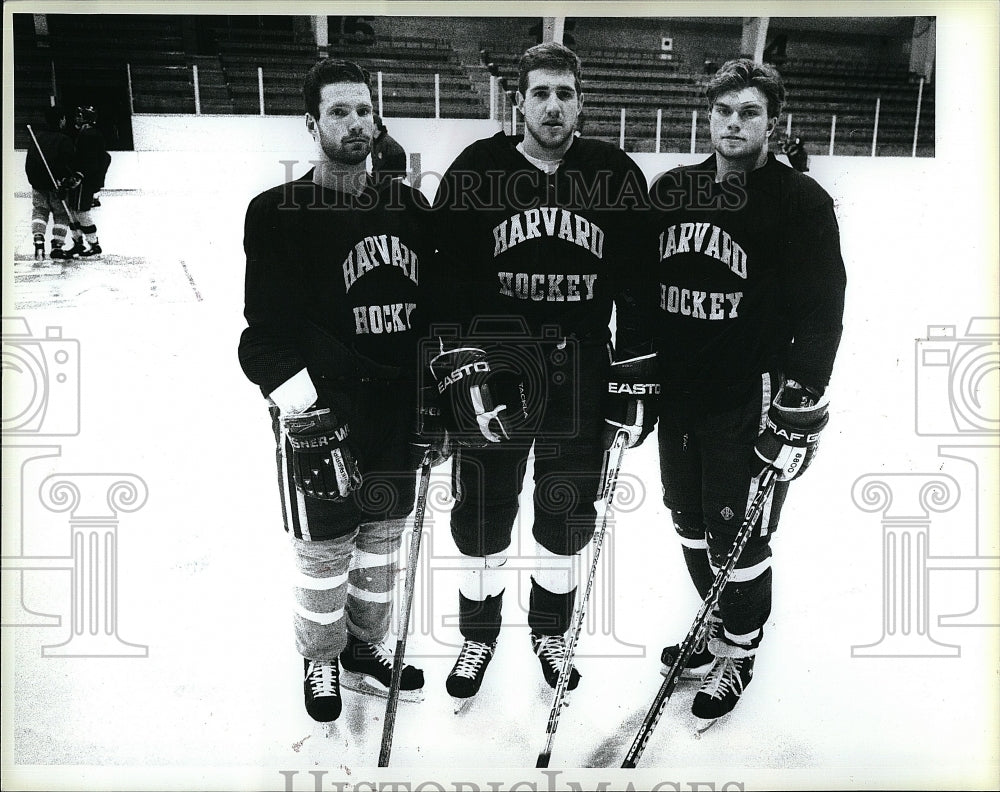 1994 Press Photo Sean McCann, Lou Body &amp; Derek McGuire in Harvard Hockey - Historic Images