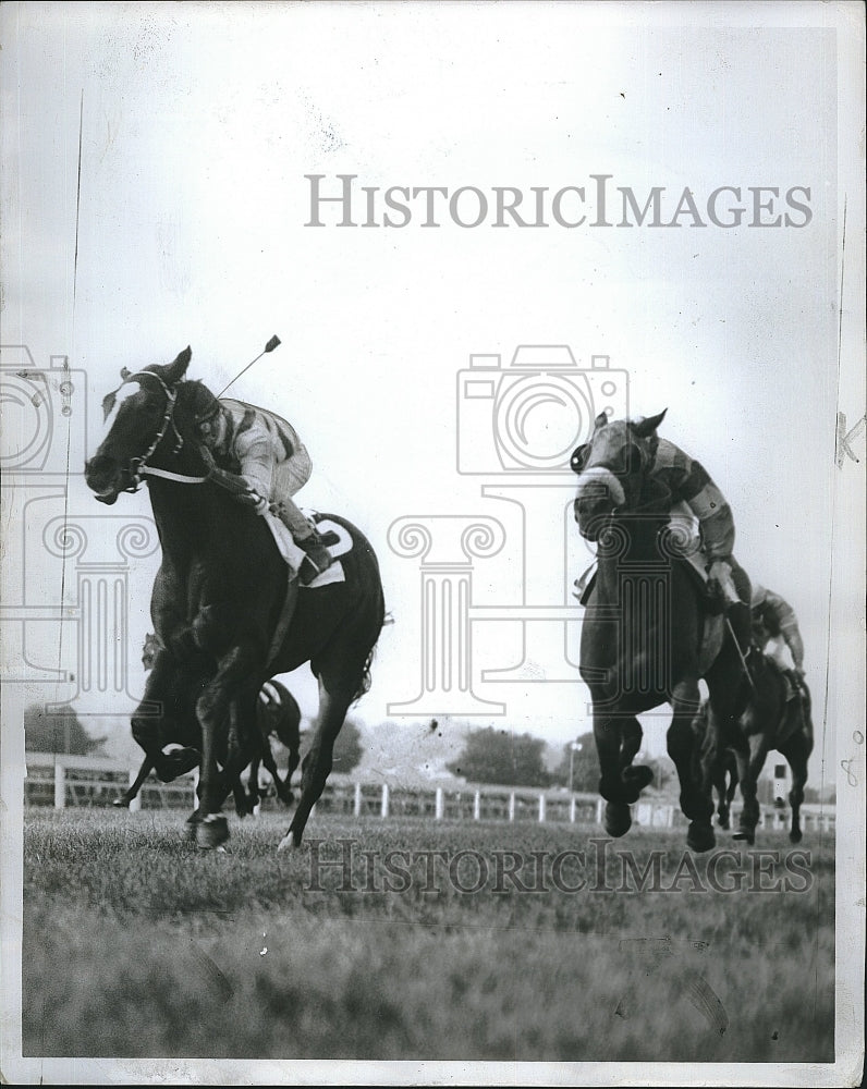 1968 Press Photo Horse Racer Mister Pox During Race - Historic Images