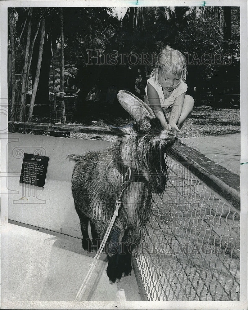 1974 Press Photo Miami Crandon Park Zoo Petting Corner Girl Pets Goat - Historic Images