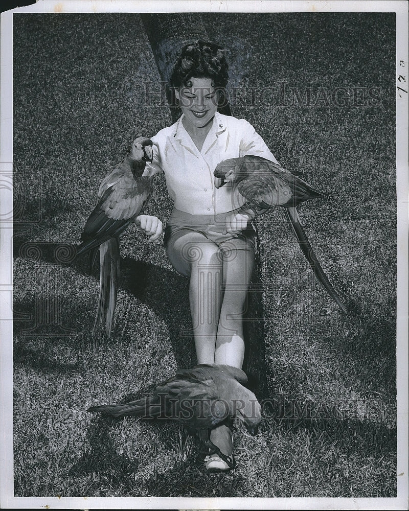 1960 Press Photo Jungle Gardens in Sarasota, Florida with parrots - Historic Images