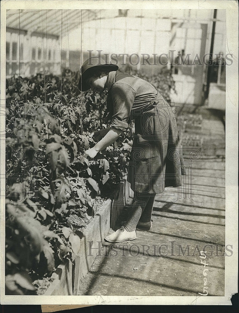 1971 Press Photo Land girls learn farming at State school of Agriculture in NY - Historic Images