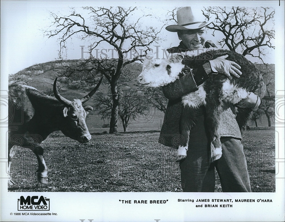 1986 Press Photo Actor James Stewart &amp; Maureen O&#39;Hara in &quot;The Rare Breed&quot; - Historic Images