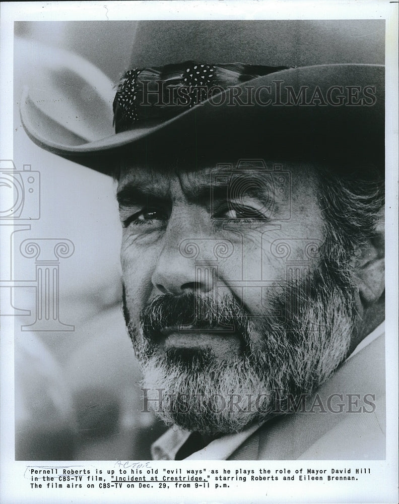 1981 Press Photo Pernell Roberts Stars In &quot;Incident At Crestridge&quot; - Historic Images