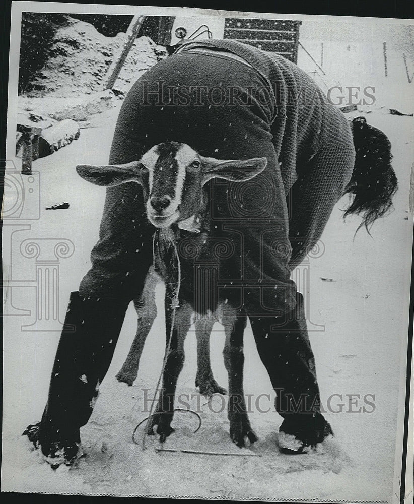 1972 Press Photo Marti Stevens milks Nannygoat - Historic Images