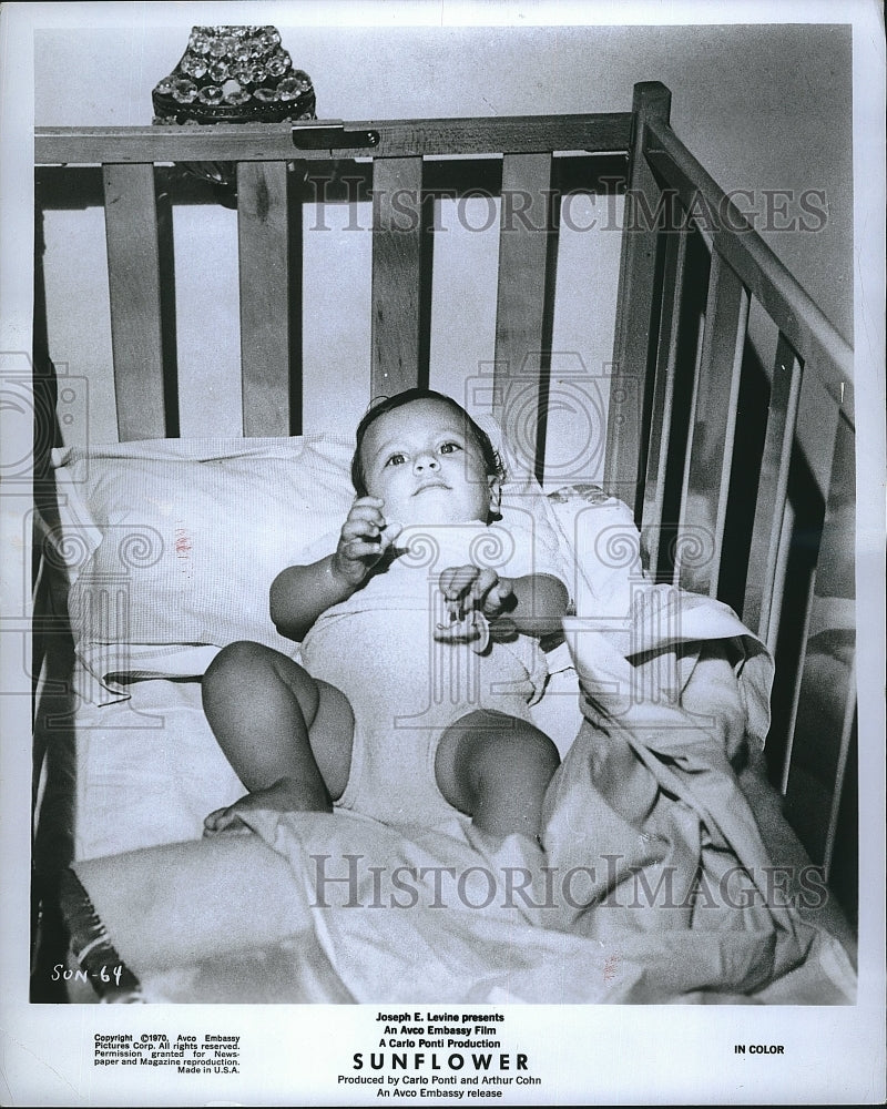 1970 Press Photo Newborn Carlo Ponti Jr. stars in &quot;Sunflower&quot;. - Historic Images