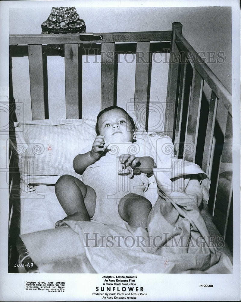 1970 Press Photo Newborn Carlo Ponti Jr. stars in "Sunflower". - Historic Images