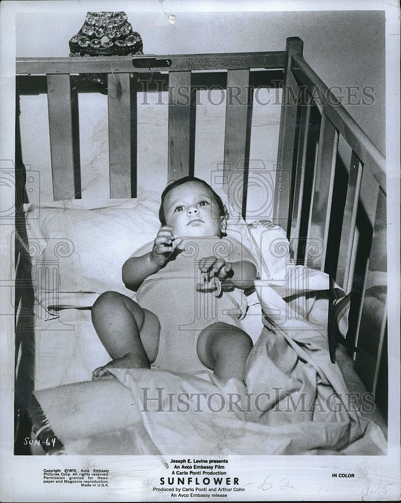 1970 Press Photo Newborn Carlo Ponti Jr. stars in "Sunflower". - Historic Images