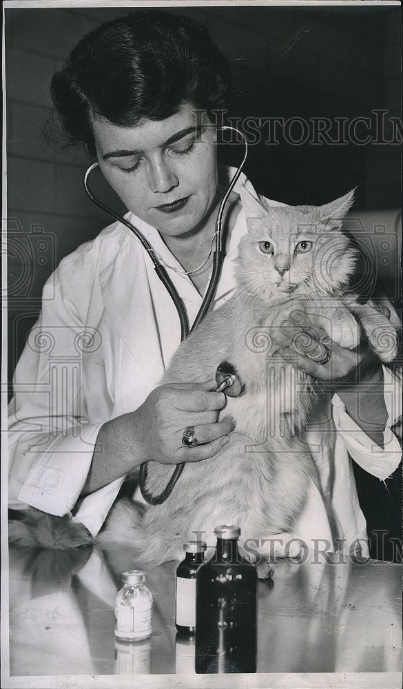 1959 Press Photo Dr. Natalie Knowles and the cat that was found on Route 3 - Historic Images