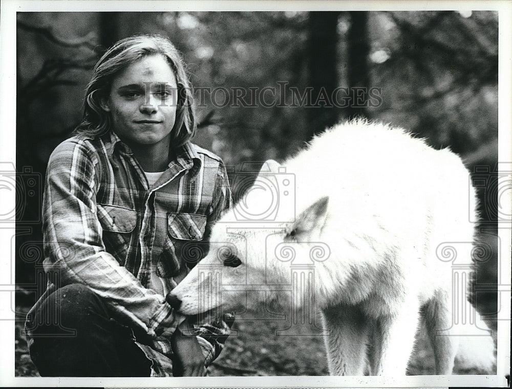 1980 Press Photo Animal Talk Series Actor Lance Kerwin Flight Of The White Wolf - Historic Images