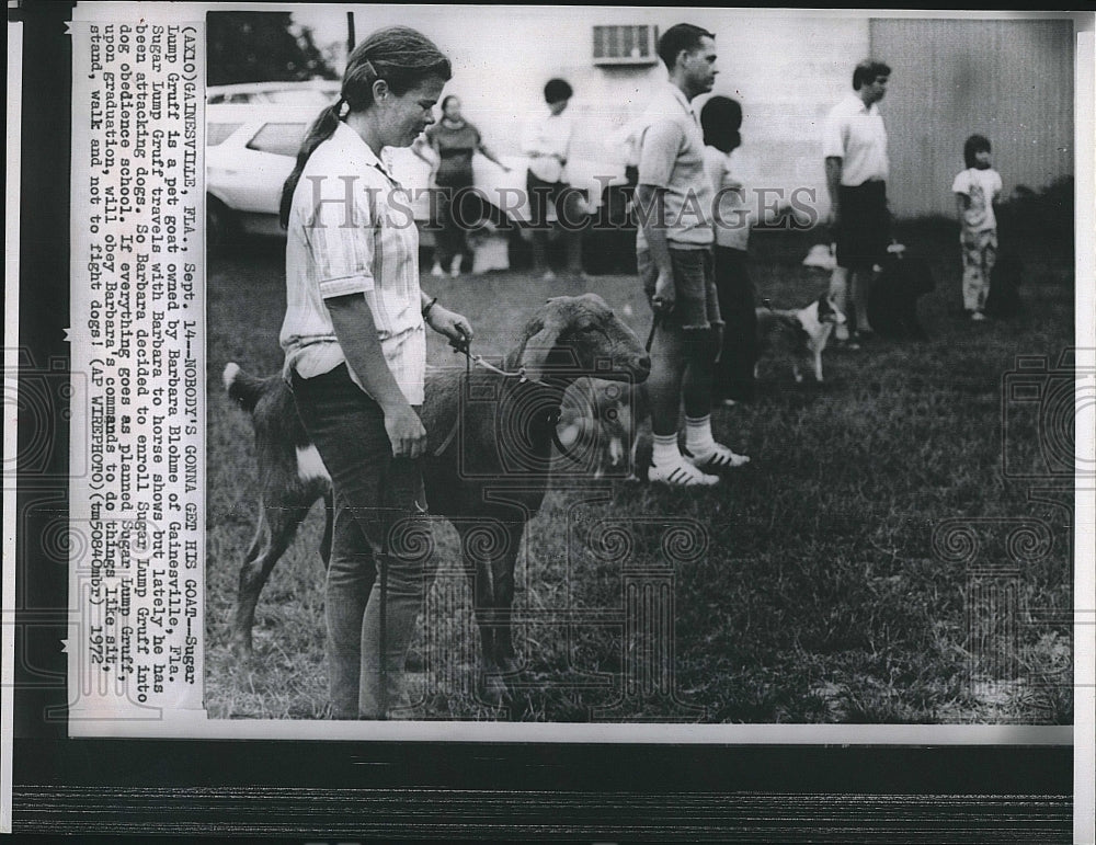 1972 Press Photo Sugar Lump Gruff a Goat in Dog Obedience School - Historic Images