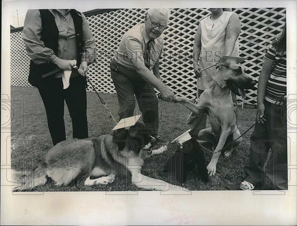 1972 Press Photo Greta and Other Dogs Graduating - Historic Images