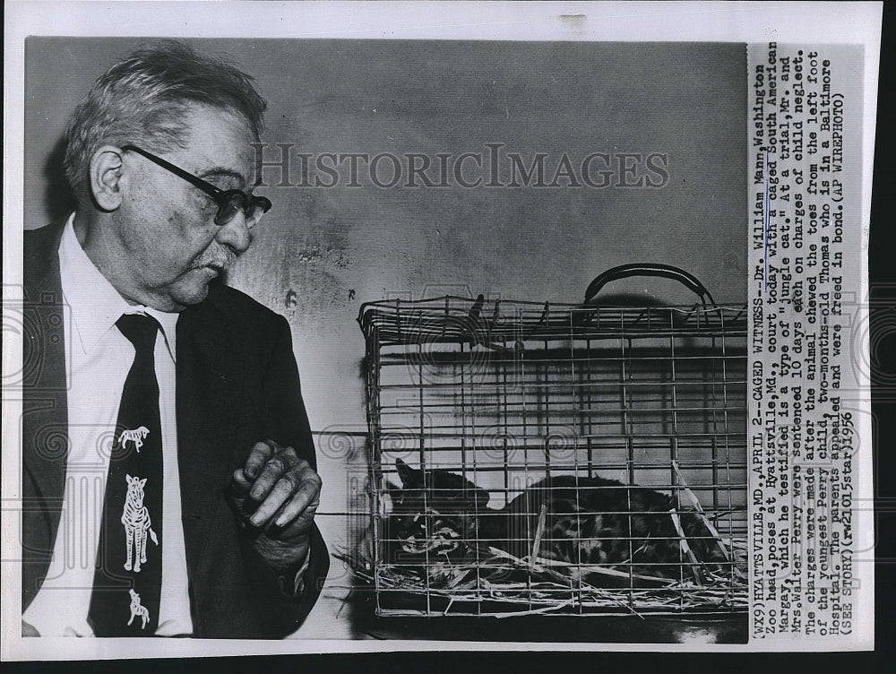 1956 Press Photo Dr William Mann &amp; a margay cat for Washington zoo - Historic Images