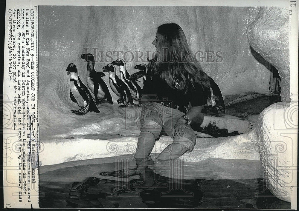 1974 Press Photo Carla Skinder Animal Handler New England Aquarium Penguins - Historic Images