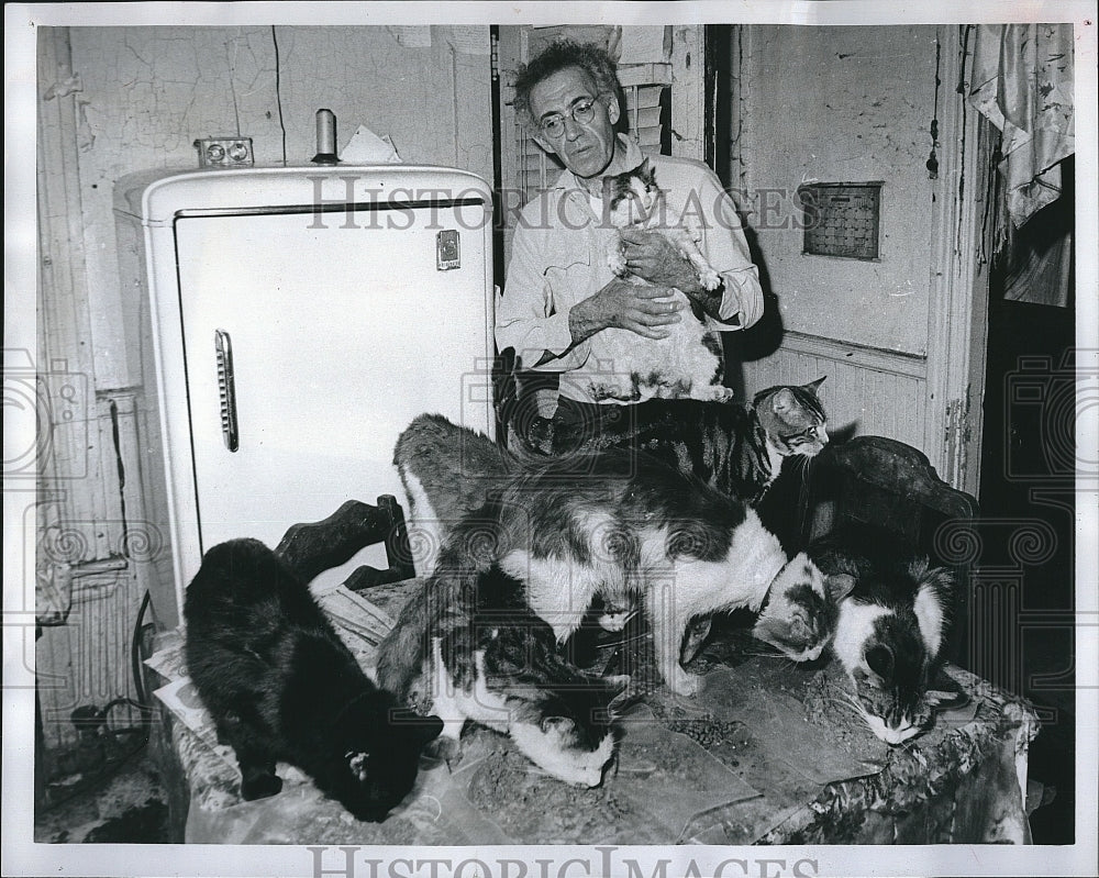 1978 Press Photo Max Liebman &amp; some of his many pet cats in Boston - Historic Images