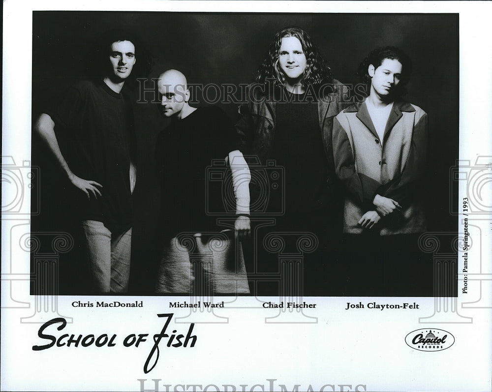 1993 Press Photo School of Fish - Historic Images