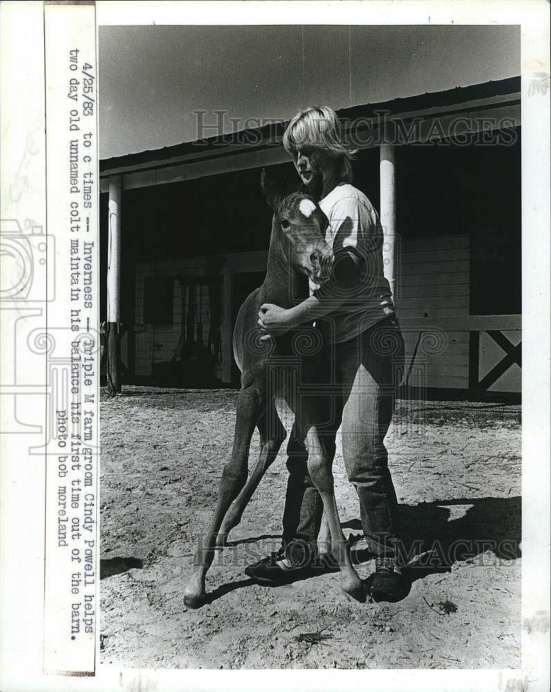 1983 Press Photo Cindy Powell Helps Two Day Old Colt Keep Balance - Historic Images