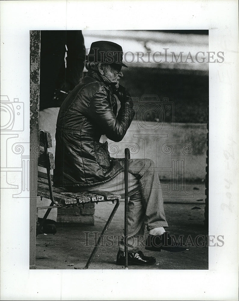 1984 Press Photo Visitors at Williams Park in Florida in heavy coats - Historic Images