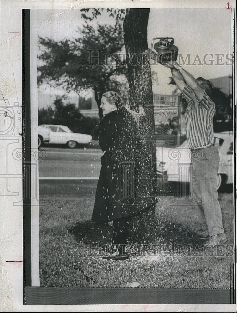 1965 Press Photo Workmen saw down a tree in a Chicago neighborhood - Historic Images