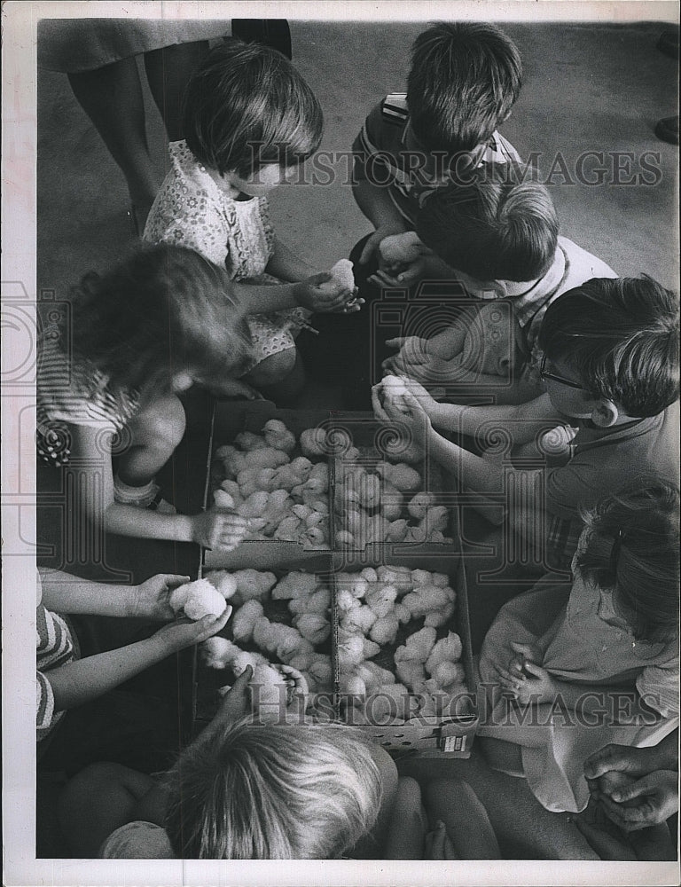 Press Photo Children Play With Baby Chicks - Historic Images