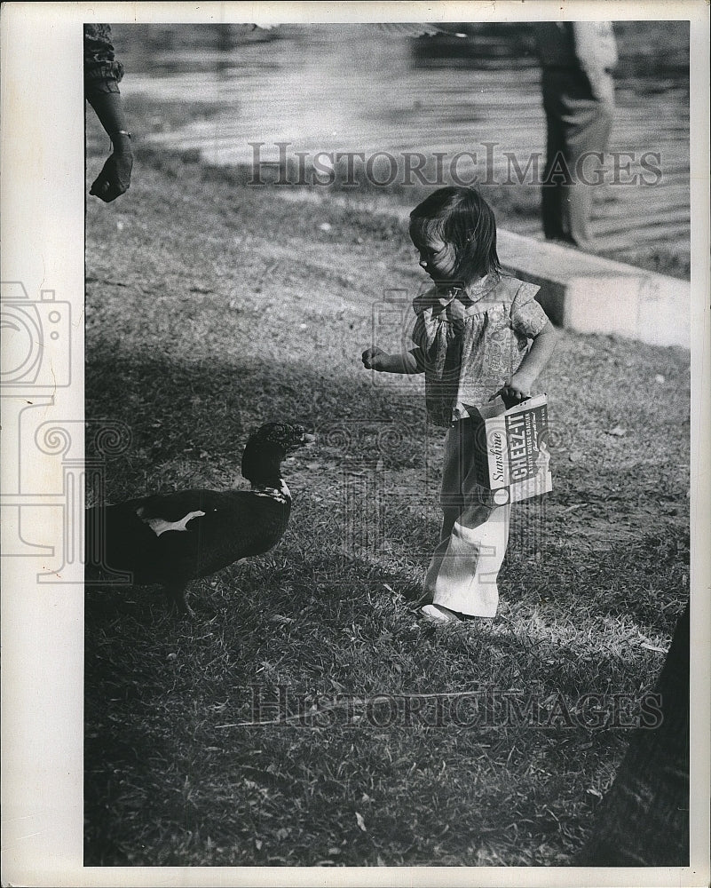 1974 Press Photo Jackie Hamilton Feeds Ducks in Crescent Park - Historic Images