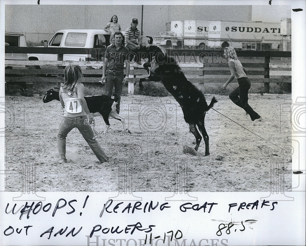 1978 Press Photo Rearing Goats freaks out to Ann Powers. - Historic Images