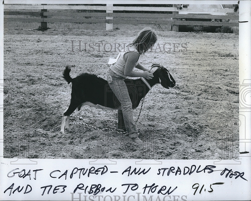 1978 Press Photo Ann Powers captured a Goat and tied up a ribbon. - Historic Images