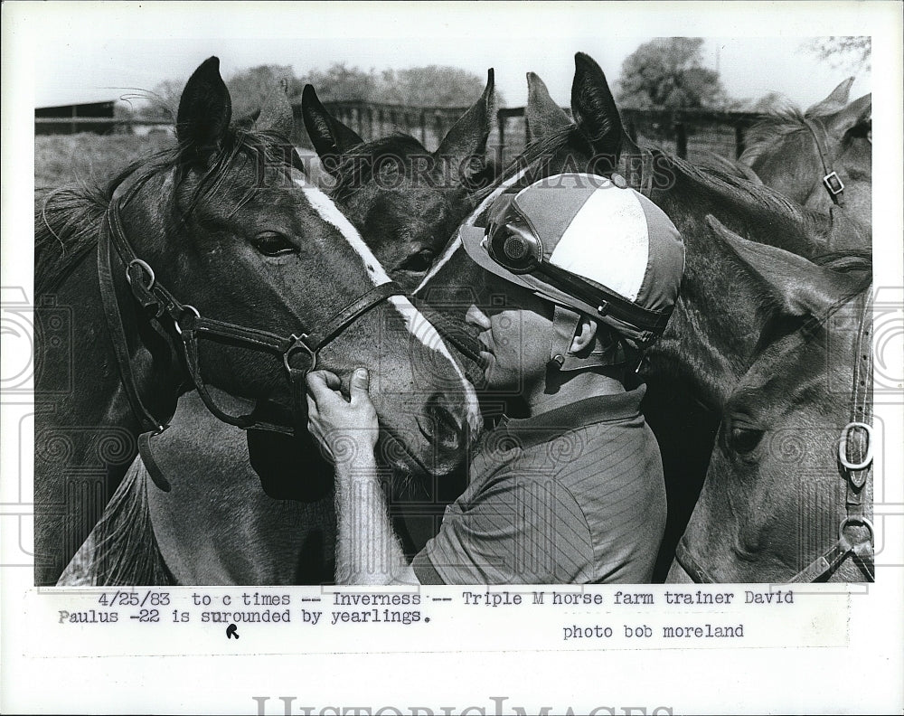 1983 Press Photo Trainer David Paulus of Triple M Horse Farm surrounded by Horse - Historic Images