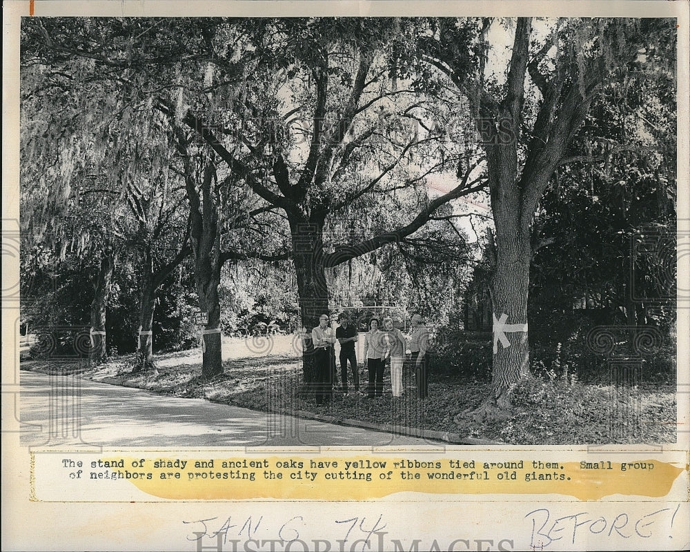 1975 Press Photo Mr & mrs Jay Wilson & Dr & Mrs Heibner and giant oak trees - Historic Images