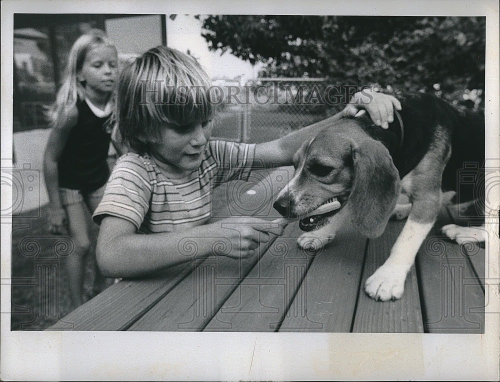 1974 Press Photo Dog &quot;Brandy&quot; is introduced to a toothbrush by Darin Kaniadakis - Historic Images