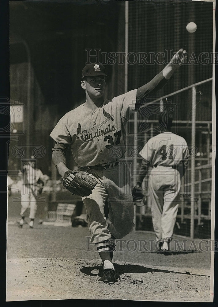 1964 Press Photo  Ray Sedecki of St Louis Cardinals - Historic Images