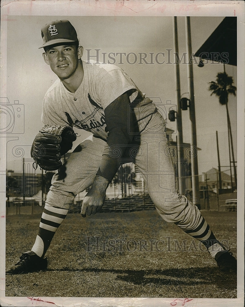 1966 Press Photo  Ray Sedecki of St Louis Cardinals - Historic Images