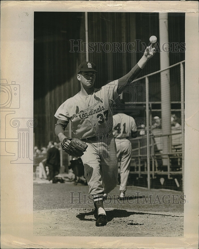 1964 Press Photo  Ray Sedecki of St Louis Cardinals - Historic Images