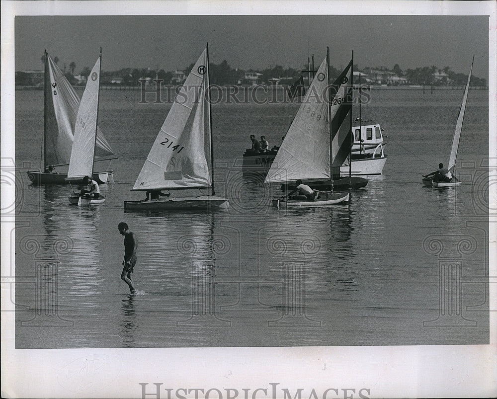 1964 Press Photo Veterans Day Regatta on Tampa Bay - Historic Images