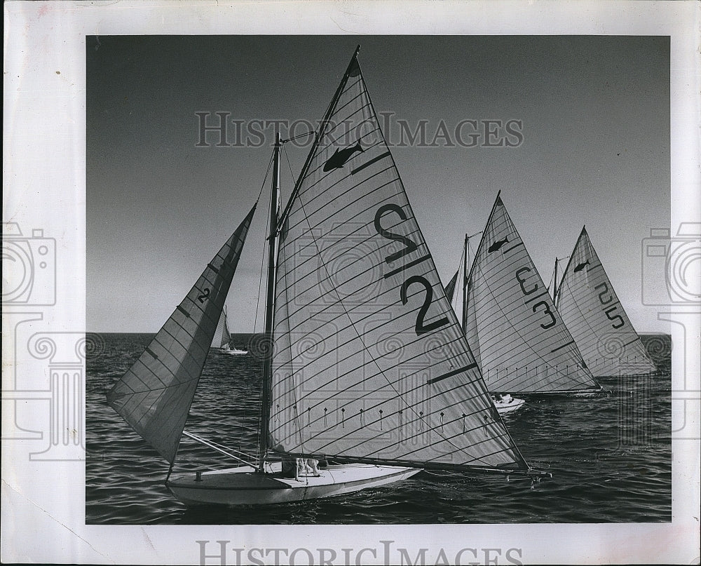 1956 Press Photo Veterans&#39; Day Regatta on Tampa Bay - Historic Images